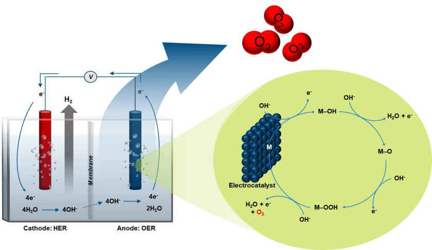 OER-Schematic - enlarged view