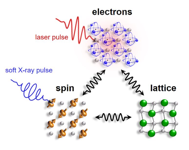 Photoinduced phase transitions - enlarged view