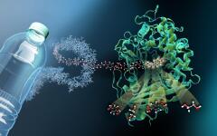 Enzymatic Solutions for Breaking Down Plastic Waste