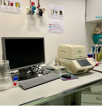 Protein Characterization RT-PCR