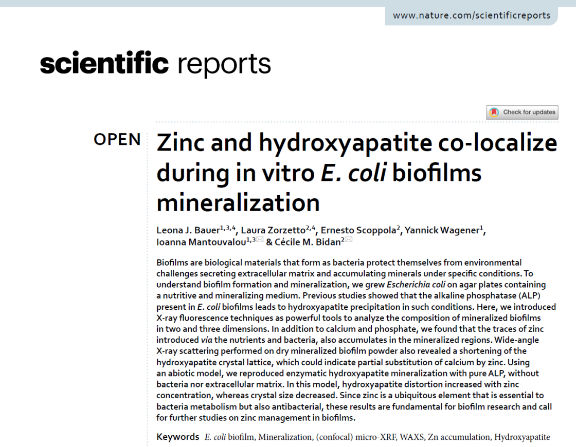 SciRep_Bauer - enlarged view