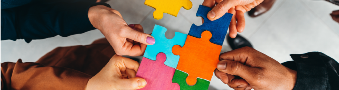 Expertise Technology Transfer