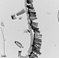 BF-TEM-Bild einer organsichen Solarzelle - vergrößerte Ansicht