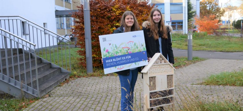 Ein insektenfreundliches Azubi-Projekt