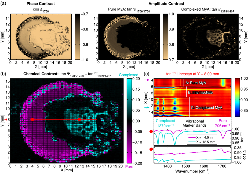 Hyperspectral_ISE - enlarged view
