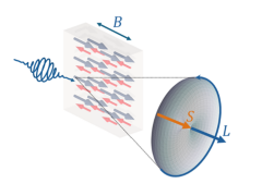 T_03---X-ray_sensitivity to orbital_magnetism