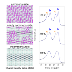 T_11---charge_density_waves