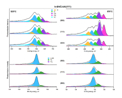 T_13---in_situ_growth_and_studies_of_2d_materials