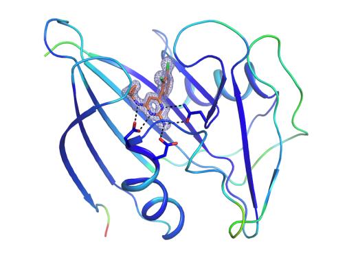 Kristallstruktur eines menschlichen MTH1-Proteins in Verbindung mir einem Schlüsselinhibitor - vergrößerte Ansicht