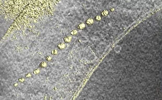 Die magnetischen Nanoteilchen bilden im Innern der Zelle eine Kette, zeigt die Elektronenkryotomographie - vergrerte Ansicht