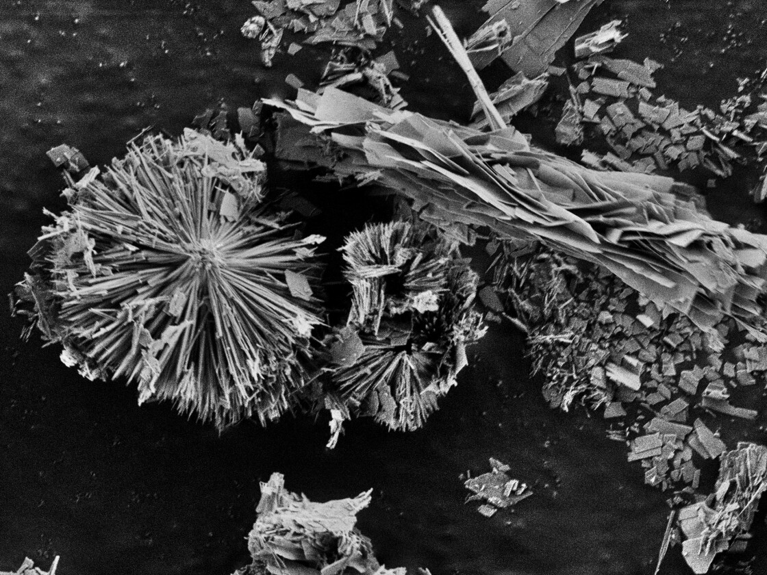 SEM_MXene_Cat 2024/HZB - vergrerte Ansicht