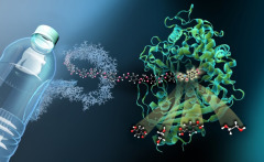 Das Bild zeigt MHET-Moleküle aus PET-Kunststoff, die an einer aktiven Stelle im Inneren der MHETase andocken und dort aufgespalten werden.