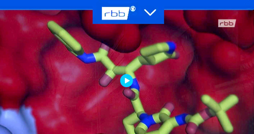 Vporschaubild für das rbb Video 'Wirksstoff-Forschung an BESSY II'
