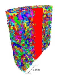 Labeling and individual particle shape analysis
