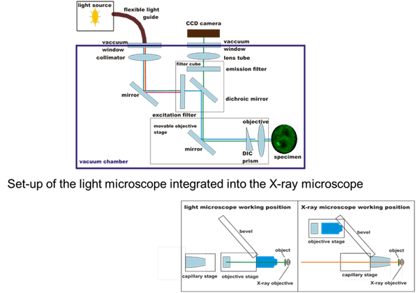 Schematic setup of the incorporated light microscope