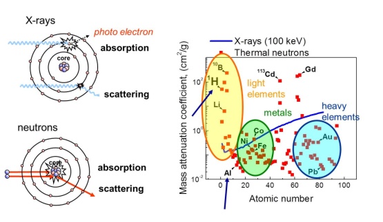 Complementarity of neutrons and X-rays