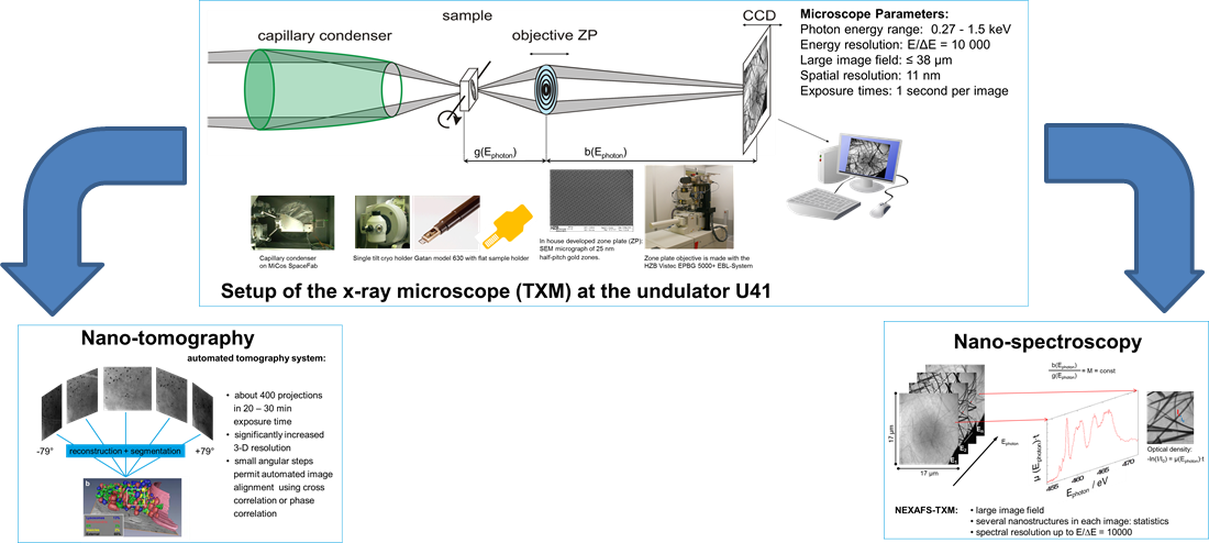 Optical setup of the TXM and experimental techniques