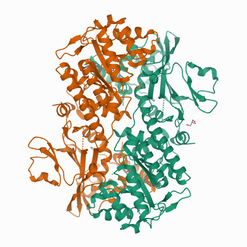 7PPI