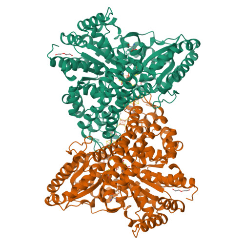9FPH