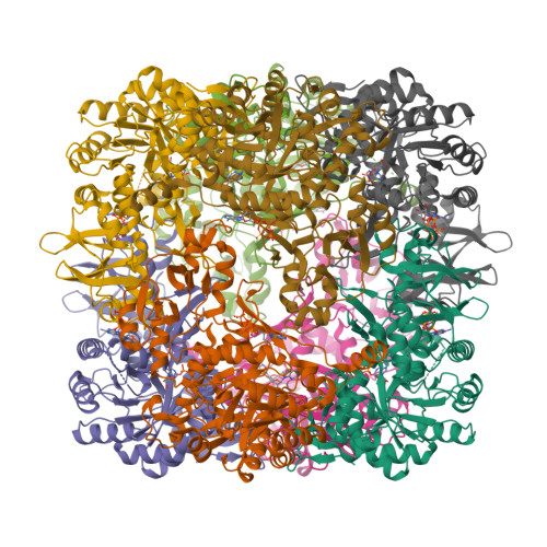 9HG2