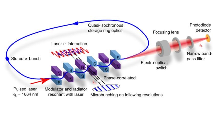 Ein gepulster Laser l&auml;uft mit dem Elektronenstrahl durch den MLS-U125-Undulator und erzeugt eine Energiemodulation. Derselbe Undulator dient bei den folgenden Durchg&auml;ngen des Elektronenstrahls als Strahler. Die Undulatorstrahlung wird von einer schnellen Fotodiode erfasst, w&auml;hrend der Laserpuls mit Hilfe eines elektrooptischen Schalters vom Erfassungspfad ferngehalten wird.