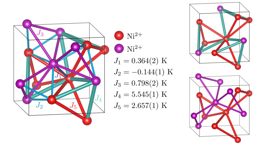 The nickel ions form two so-called trillium lattices that are entangled with each other. This creates the desired magnetic frustration, which is further enhanced when an external magnetic field is applied.