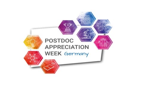 Postdocs at HZB: Crucial for research, innovation and diversity