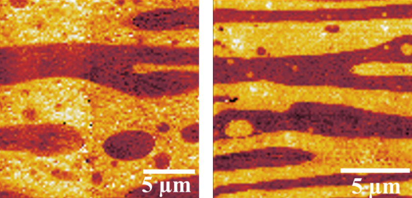 In der Nano-IR-Bildgebung sind die Schichtstrukturen der reinen PVDF/PLLA-Mischung (links) und mit dem SAD-Zusatz (rechts) deutlich unterscheidbar. Die hellen und dunklen Farben entsprechen den PLLA- bzw. PVDF-Phasen. Bei Zugabe von SAD werden die Dom&auml;nengr&ouml;&szlig;en der beiden Phasen reduziert.